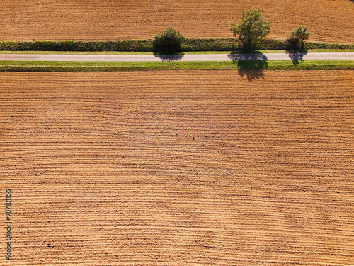 Terre, route et arbres