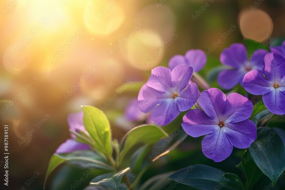 beautiful vinca flower in the garden , ai beautiful vinca flower in the garden , ai