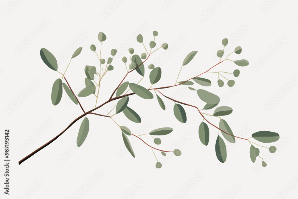 Minimalistic eucalyptus branch illustration Minimalistic eucalyptus branch illustration
