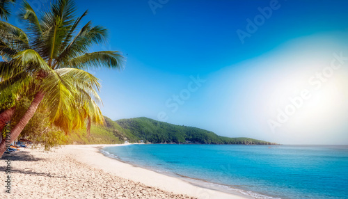 Summer Resort Beach Sea Relax Travel Vacation Palm Tropic Copy Space Banner Background Hotel