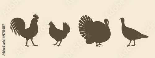 Poultry silhouette. Isolated  poultry on vintage  background