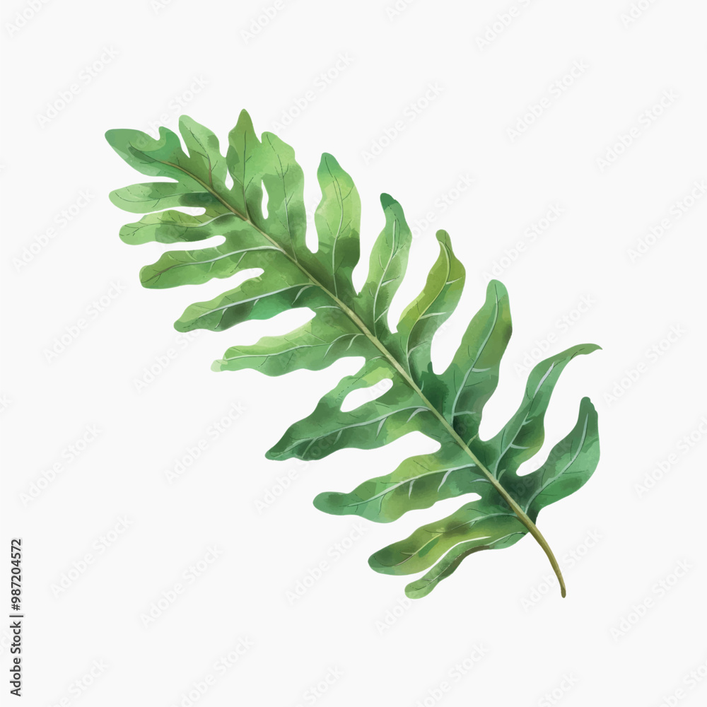 Elegant tropical green leaf illustration Elegant tropical green leaf illustration