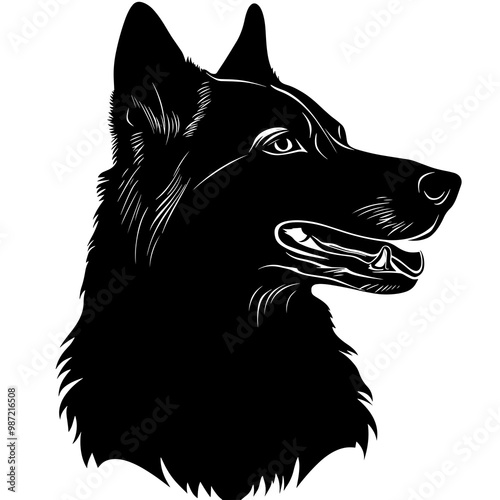 silhouette of a wolfdog