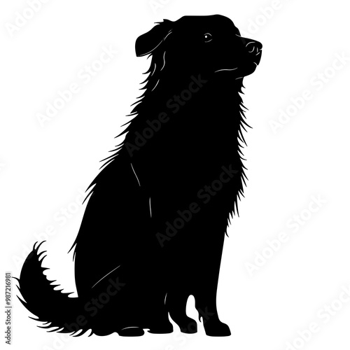 silhouette of a yunnan dog