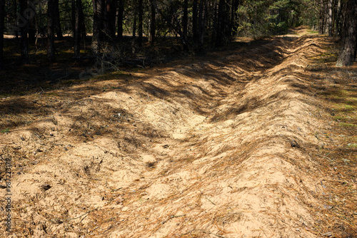 Fotografia Fuel breaks are strips of landover metre wide cleared of flammable material and upper humus layer