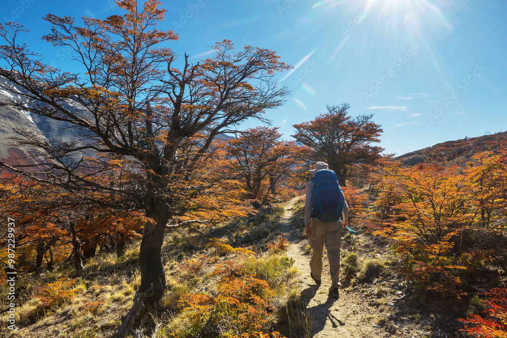 Fototapeta premium Hike in autumn season