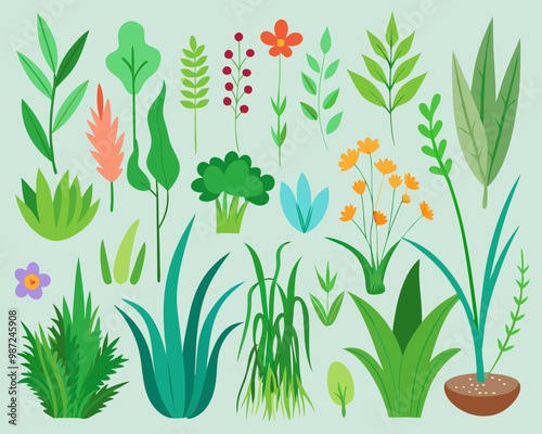 Set of decorative houseplants to decorate the interior of a house or apartment. Collection of various plants in pots
