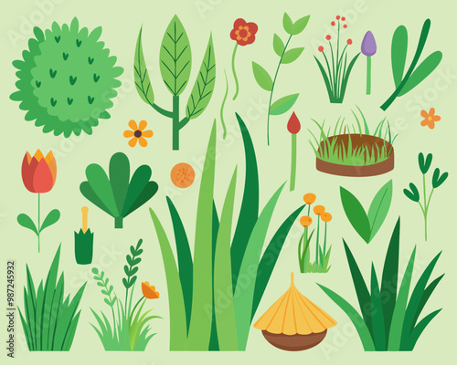 Set of decorative houseplants to decorate the interior of a house or apartment. Collection of various plants in pots