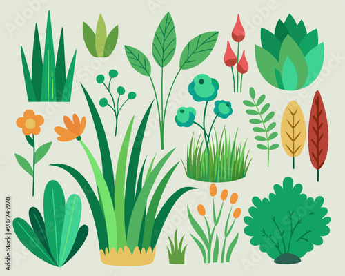 Set of decorative houseplants to decorate the interior of a house or apartment. Collection of various plants in pots