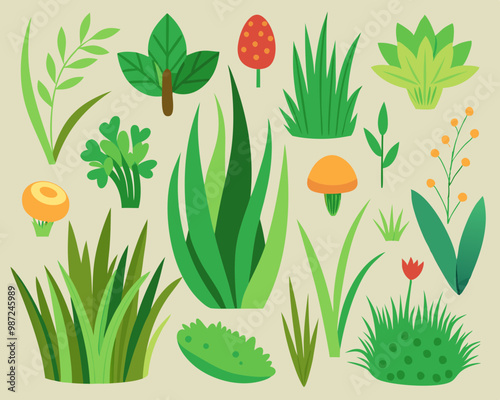 Set of decorative houseplants to decorate the interior of a house or apartment. Collection of various plants in pots