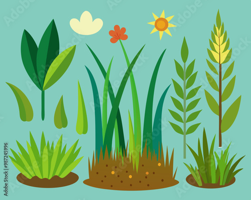 Set of decorative houseplants to decorate the interior of a house or apartment. Collection of various plants in pots