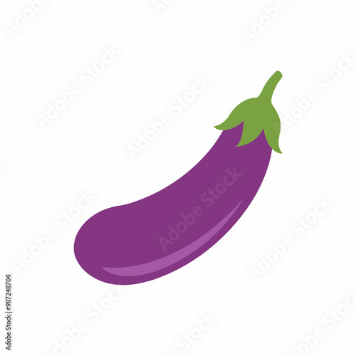 Eggplant Ingredients for Healthy Cooking Vector Illustration  Printable Graphic Design
