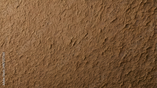 Wallpaper Mural texture background, A rough, sandpaper-like texture in a gradient of earthy brown and beige tones. 2 Torontodigital.ca