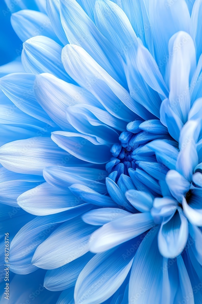 Obraz premium A tight shot of a blue flower with its petal centers softly blurred