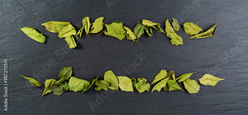 Thai lime dried leaves, makrut lime or Citrus hystrix leaf pile, kaffir lime dry sprouts, Southeast Asia spices photo