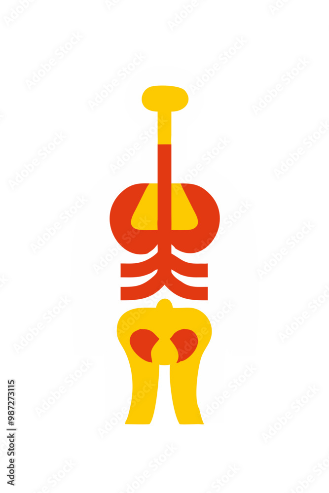 Vector illustration of woman. Cartoon realistic people illustartion. Flat young woman. Front view girl. Anatomy of female muscular system. stock illustration