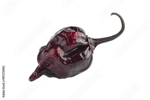 Cascabel Chili on Clear Transparent Background High Definition HD Image for Use in Creative and Culinary Photography Projects photo