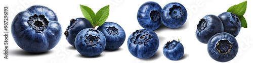 Collage of blueberry illustrations isolated on white background. Set of PNG isolated fruits.