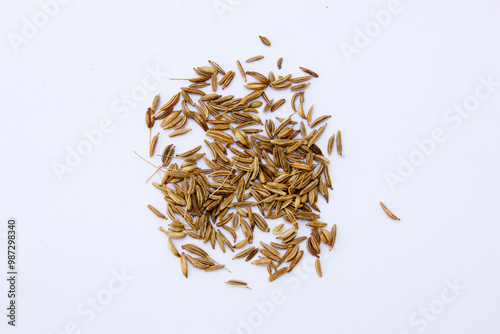 Cumin seeds, derived from the plant Cuminum cyminum, are a staple spice in many cuisines, particularly in Indian, Middle Eastern, and Mexican cooking.  photo