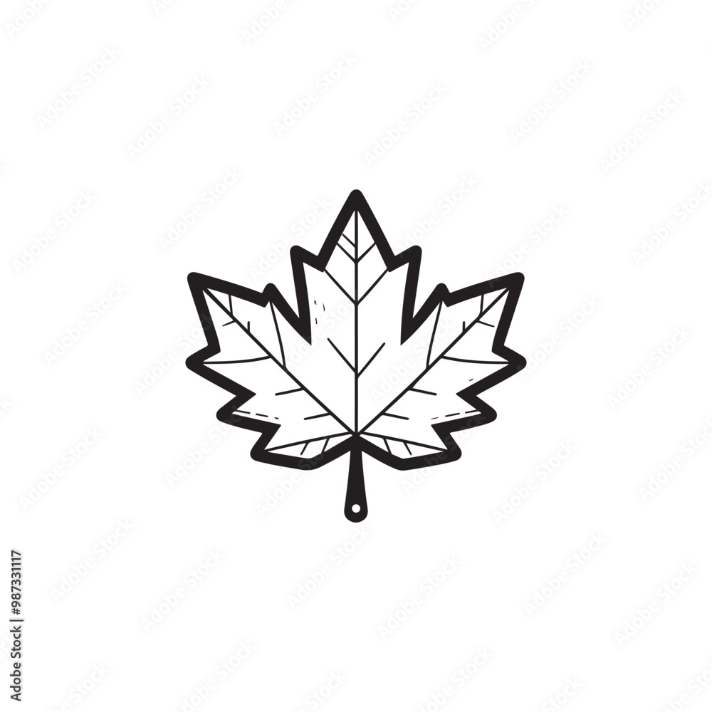 Thin Line Maple Leaf Design - Modern Autumn Symbol. Thin Line Maple Leaf Design - Modern Autumn Symbol.