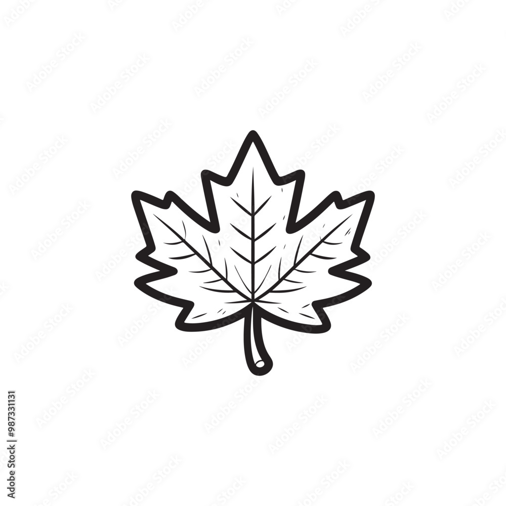 Thin Line Maple Leaf Design - Modern Autumn Symbol. Thin Line Maple Leaf Design - Modern Autumn Symbol.
