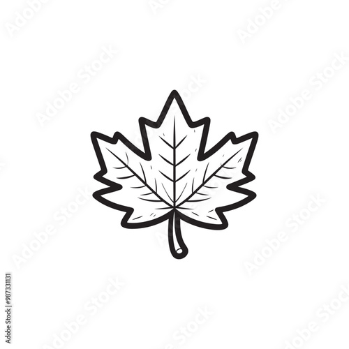 Thin Line Maple Leaf Design - Modern Autumn Symbol.