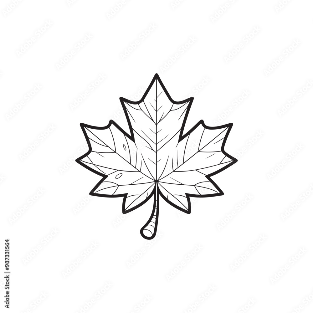 Thin Line Maple Leaf Icon - Modern Autumn Symbol Illustration. Thin Line Maple Leaf Icon - Modern Autumn Symbol Illustration.