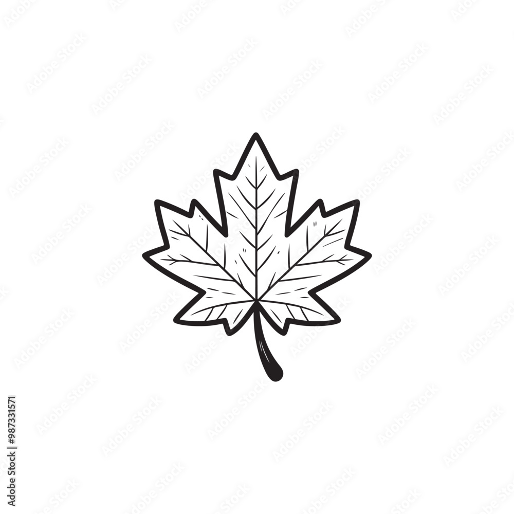 Thin Line Maple Leaf Icon - Modern Autumn Symbol Illustration. Thin Line Maple Leaf Icon - Modern Autumn Symbol Illustration.
