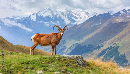 Majestic mountain goat standing by alpine lake and snowy peaks