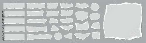 Set of white ripped paper stripes. Realistic papers scrap with torn edges. Notepad torn papers for message note, page or banner. Vector collection.