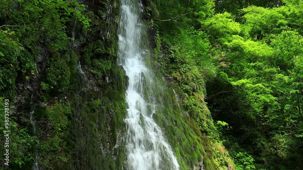滝 岩から流れ落ちる水 水滴 自然 風景 滝 岩から流れ落ちる水 水滴 自然 風景