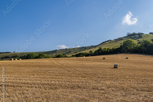 Bales of straw in the South Downs, with a blue sky overhead photo