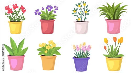 Colorful potted plants with various flowers and greenery. photo