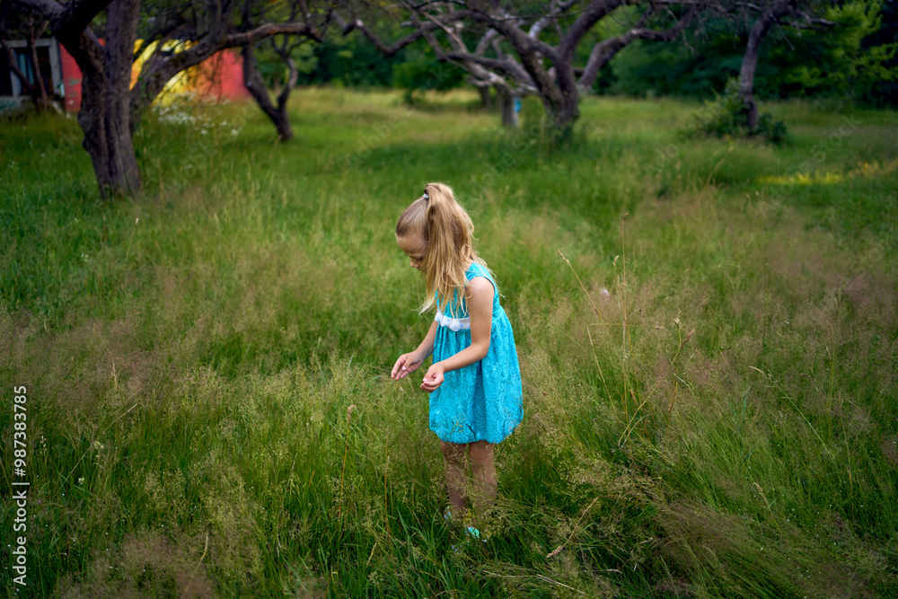 Fototapeta premium a little girl holds out a bouquet of field herbs