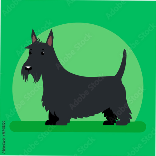 A charming vector art illustration of a Scottie Scottish Terrier Dog, capturing its iconic beard, sturdy build, and loyal expression, perfect for pet lovers and breed-specific designs. photo