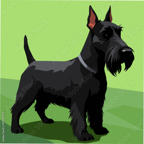 A charming vector art illustration of a Scottie Scottish Terrier Dog, capturing its iconic beard, sturdy build, and loyal expression, perfect for pet lovers and breed-specific designs.