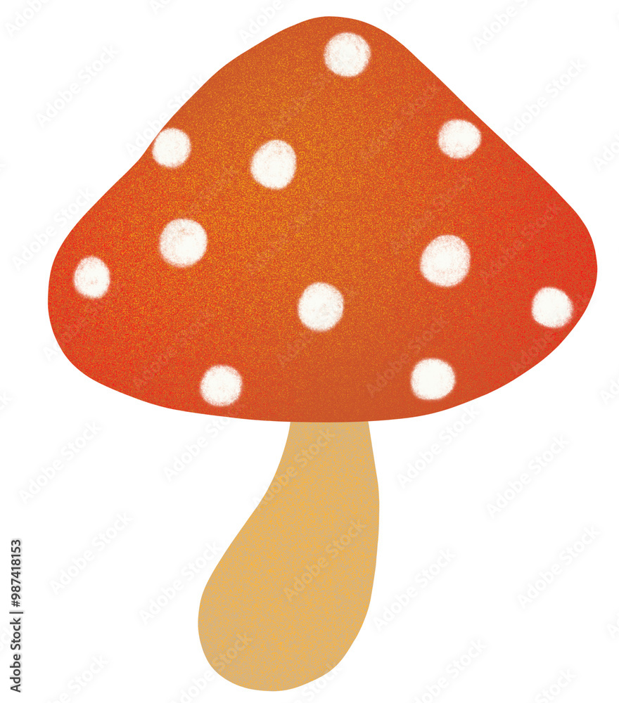 fly agaric mushroom fly agaric mushroom