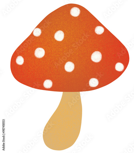 fly agaric mushroom photo