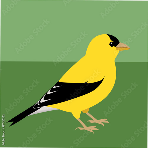 A vibrant vector illustration of an American Goldfinch bird, perfect for nature enthusiasts, bird watchers, and graphic designers seeking wildlife-themed digital art.