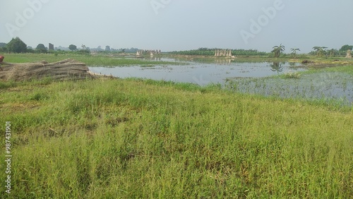 "Green Fields, Golden Future: The Heart of Agriculture"