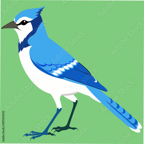 A stunning vector artwork of a Blue Jay bird, ideal for bird enthusiasts, nature lovers, and graphic designers looking for vibrant and detailed wildlife-inspired digital art. photo