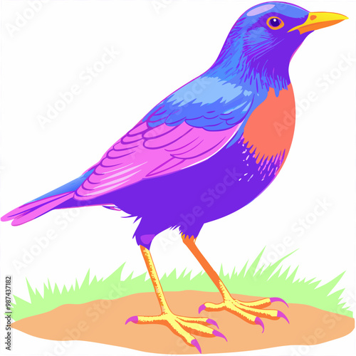 A vibrant vector artwork of the Blue Whistling Thrush bird, perfect for nature enthusiasts, bird watchers, and graphic designers seeking detailed and colorful wildlife-themed digital art.