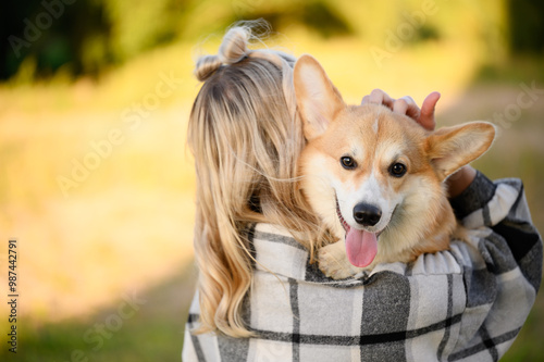 Female volunteer holds, hugs and pets Welsh Corgi dog in nature. Caring for pets in trouble, volunteering, love for dogs photo