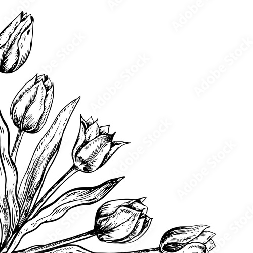 A frame made of tulips. A black and white vector graphic illustration made by hand. A postcard template on a white background. For packages, labels and flyers, posters and banners.