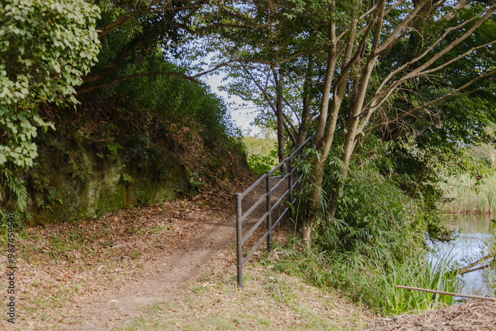 赤羽緑地公園　茨城