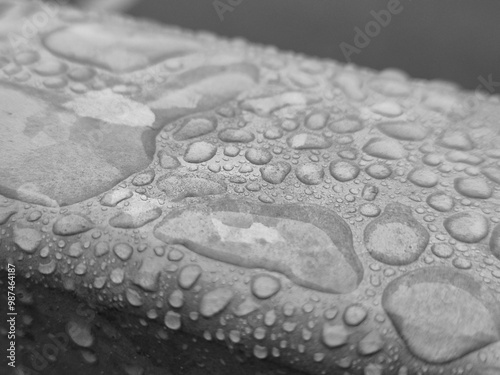 Water drops on a metal surface close view, raindrops on a fence black and white monochrome grayscale photo photo