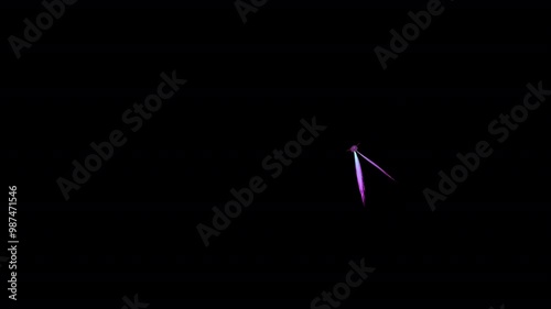 A single fluttering butterfly on a black background