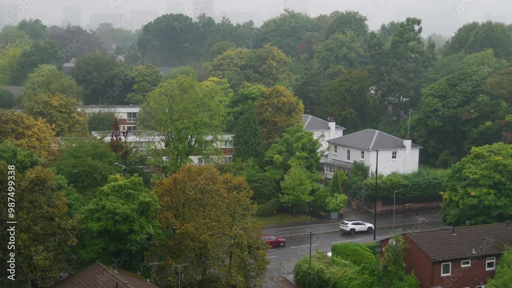 Wet autumn road in leafy UK suburb.
Bristol Road in Birmingham on a damp, misty day. Wet autumn road in leafy UK suburb.
Bristol Road in Birmingham on a damp, misty day.