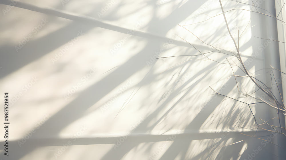 Simple white wall background Simple white wall background