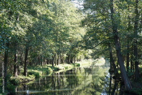 Idllyische grüne Spreewaldlandschaft bei Lübbenau